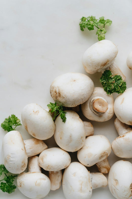 White mushrooms with green parsley on a light background