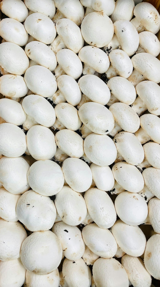 Fresh Button Mushroom pack, 200 gm