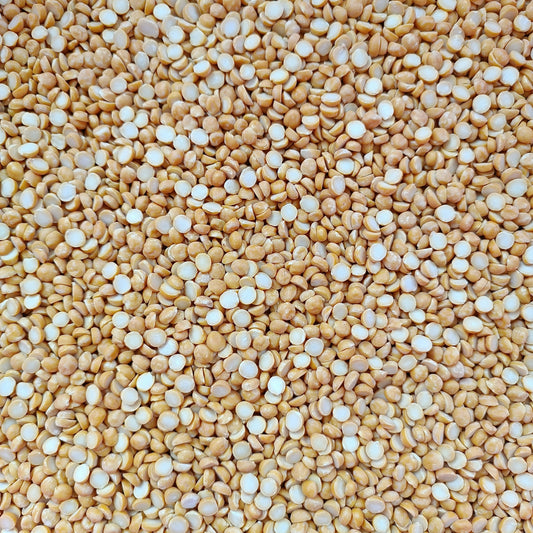 Premium Gram Seeds