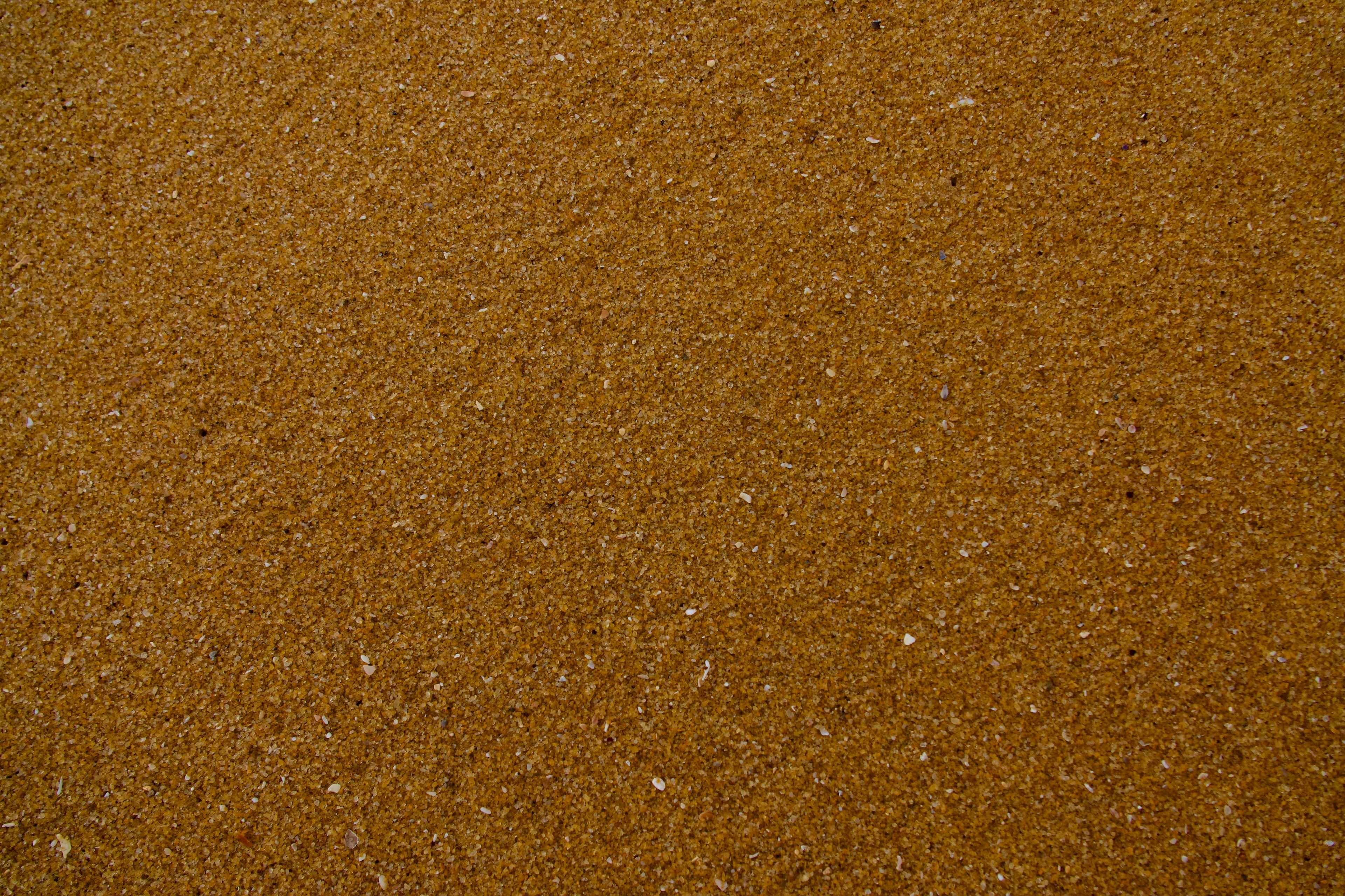 Jaggery Powder