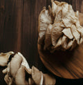 Oyster mushroom on the table