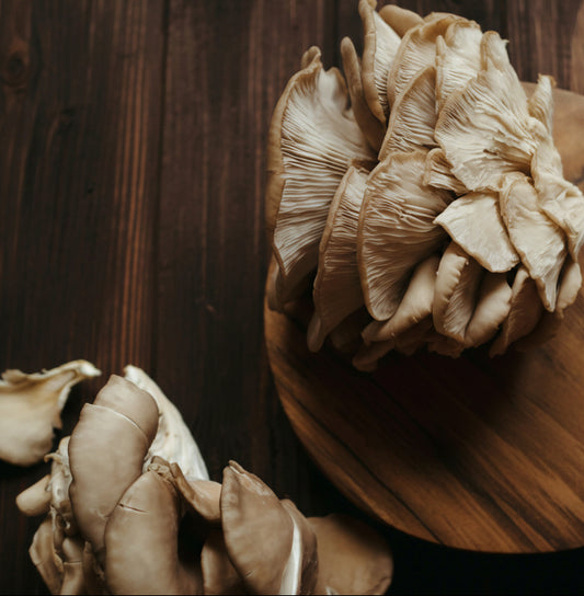 Oyster mushroom on the table