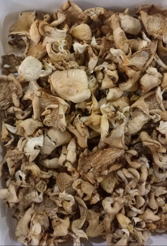 Dry Oyster Mushrooms