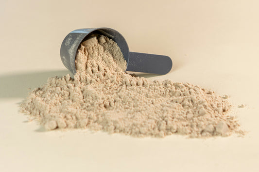 Oyster Powder