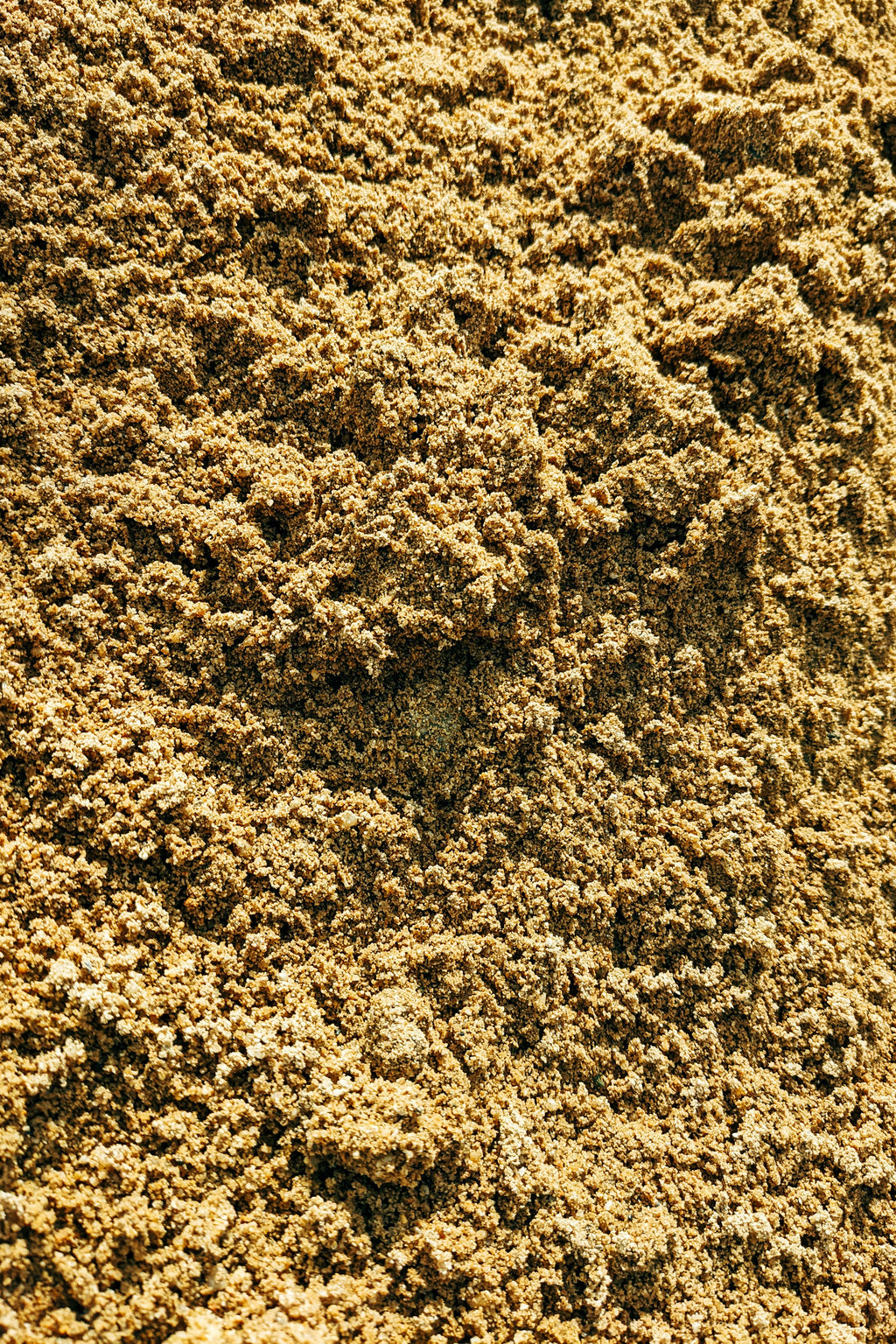 Jaggery Powder