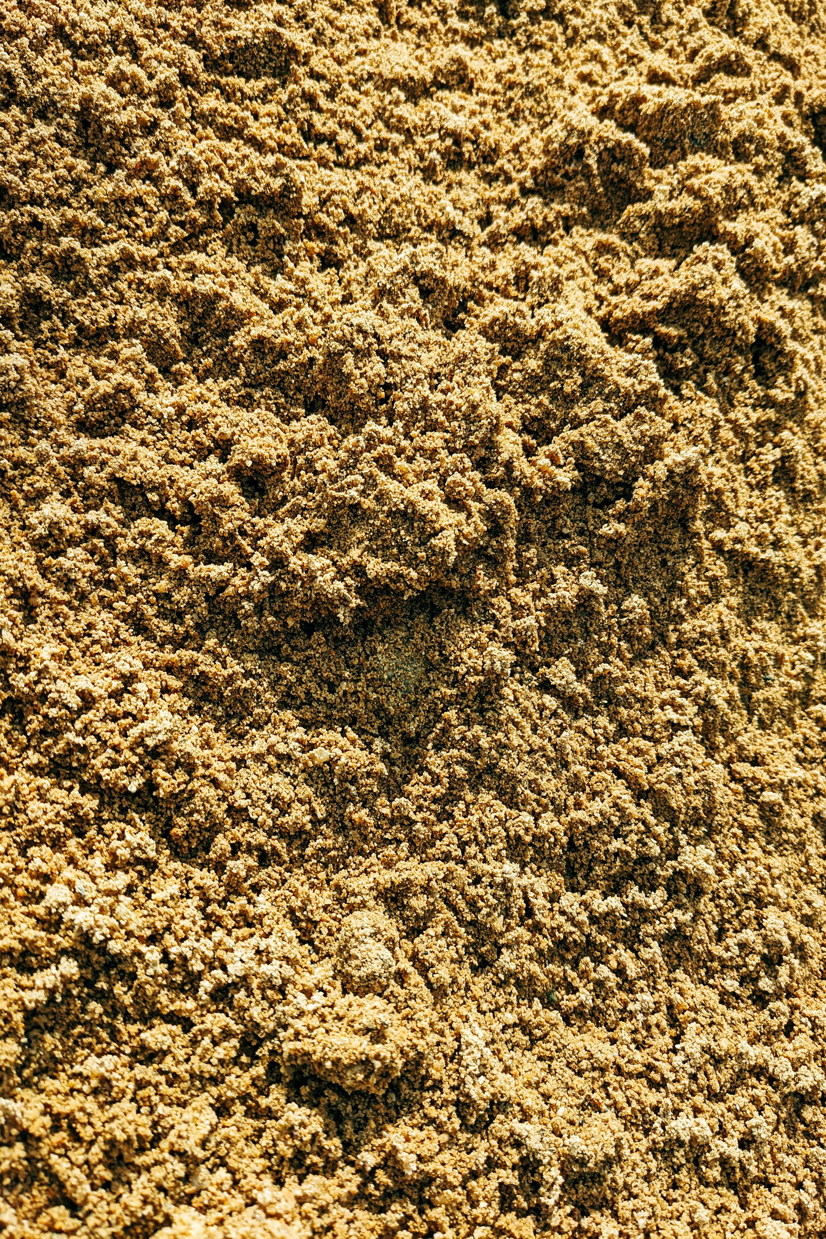 Jaggery Powder