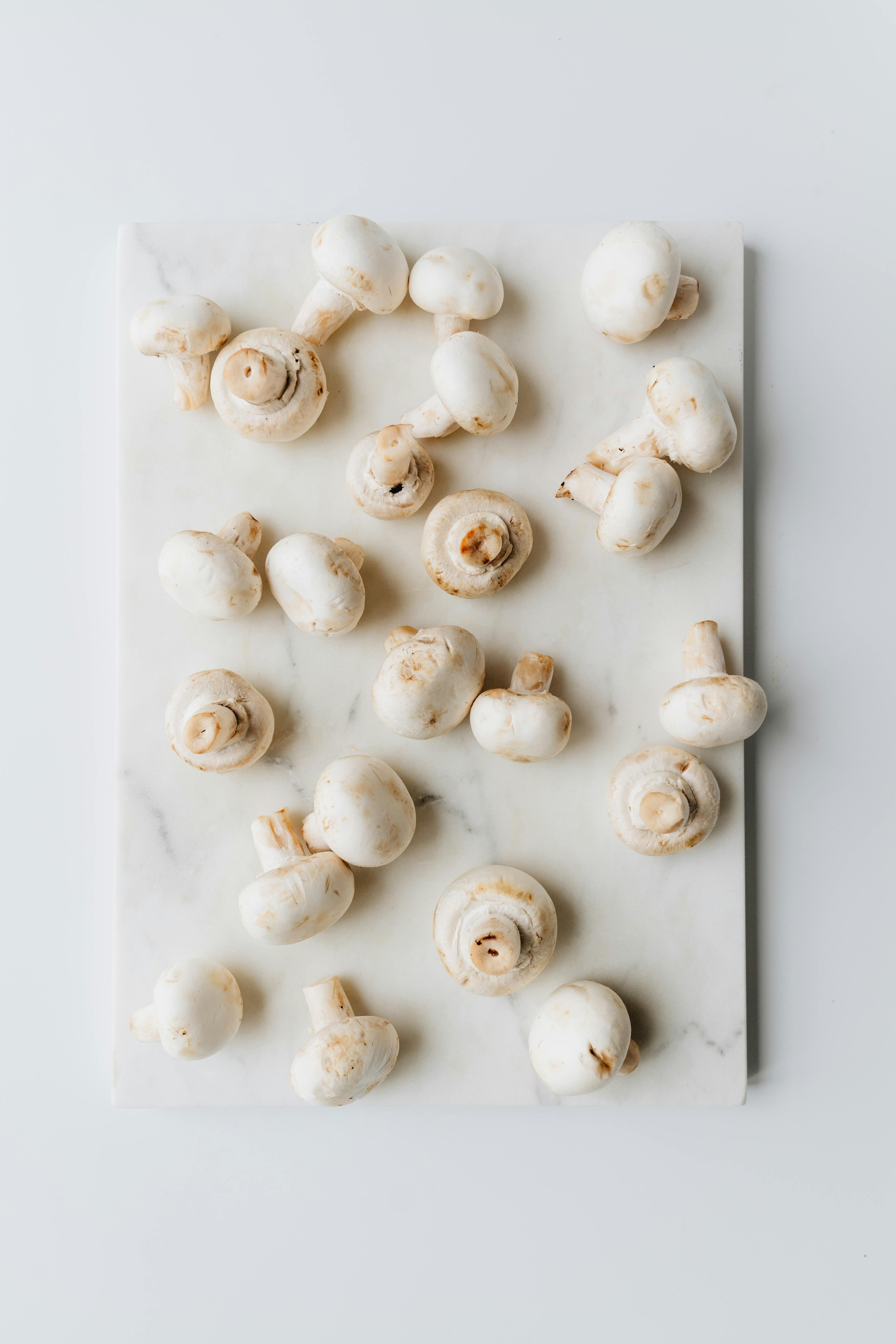 Button Mushroom
