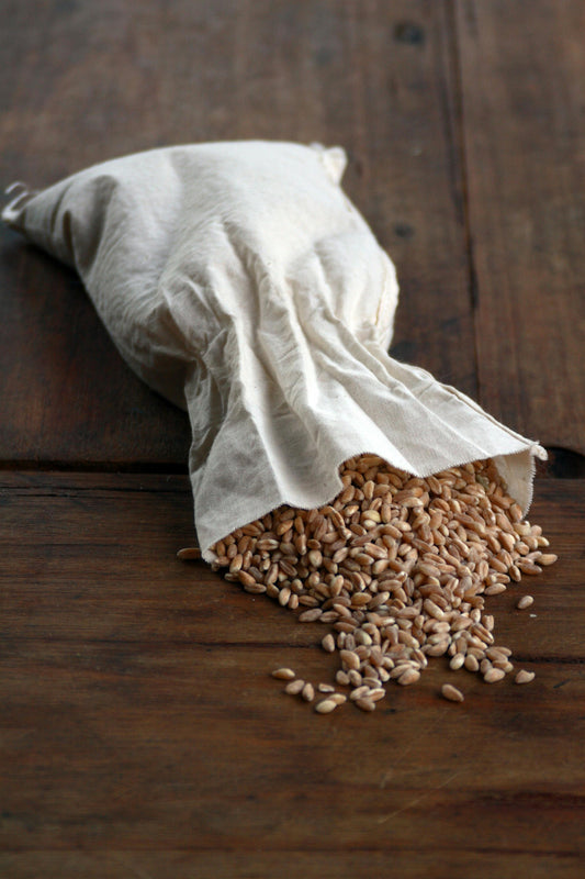 Premium Wheat Seeds