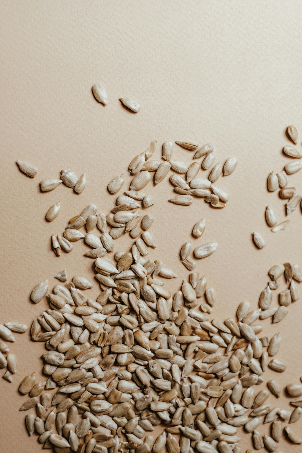 Premium Wheat Seeds