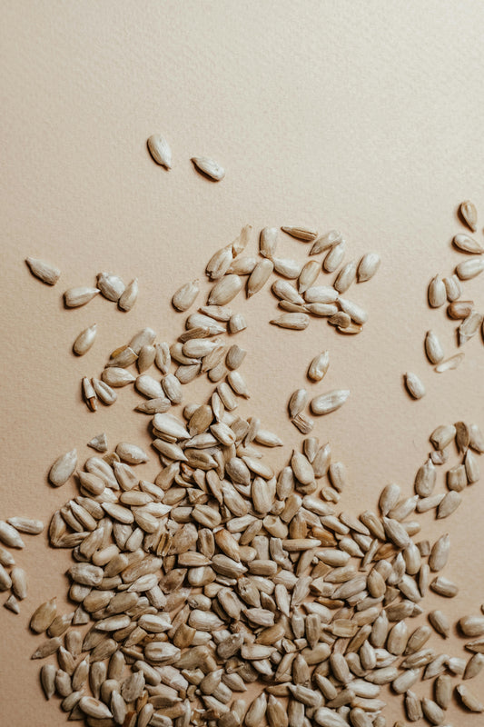Premium Wheat Seeds